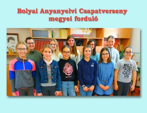 Bolyai Anyanyelvi Csapatverseny megyei forduló