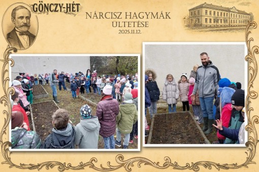 Gönczy-hét Nárcisz hagymák ültetése